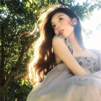 尚迪戈尔的陌生人